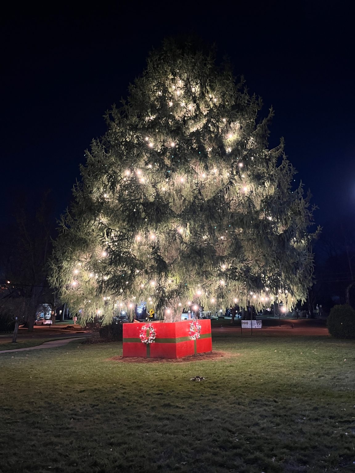 Springfield Celebrates Tree Lighting 2022 Township of Springfield, NJ